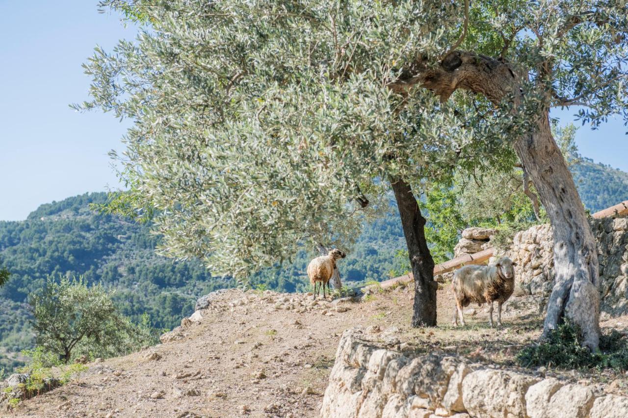 Raco De Soller Villa Екстериор снимка